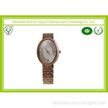Promotional Dustproof Casual Sport Watches For Gentlemen Fi